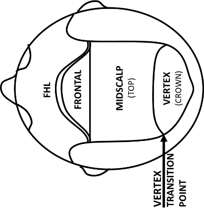 Scalp Regions Scalp regions labeled from the top.