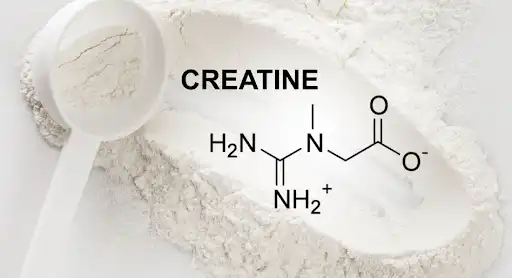 Creatine and Hair Loss: What You Need to Know
